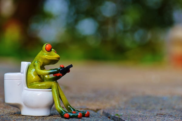 Toilet Frog on Phone