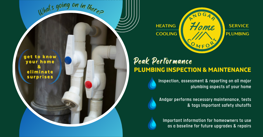 Andgar Home Comfort Plumbing Inspection & Maintenance Graphic with Service Description and water pipe on-off valves